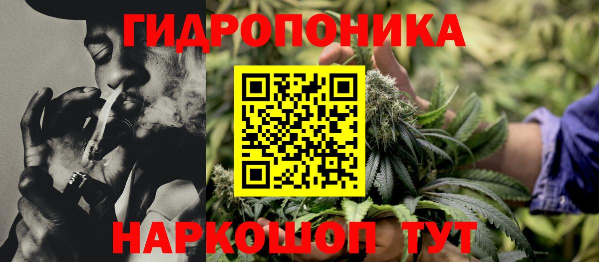 Марихуана OG Kush  Конопля White Widow  Вход с VPN  Вольск  Конопля марихуана 